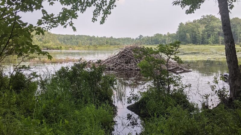 Gould's Landing - Orono, ME