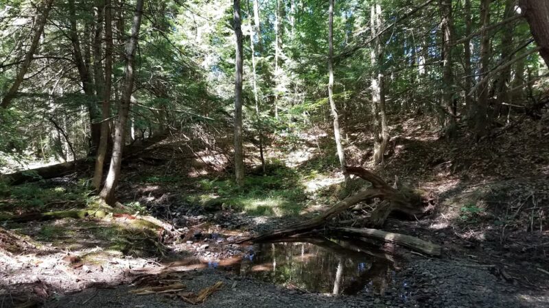 Sklar Park - Orono, ME