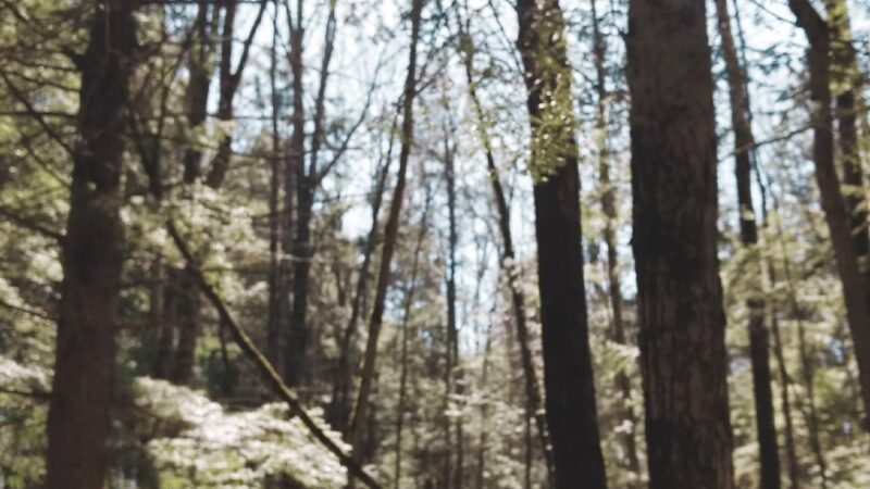 Sklar Park - Orono, ME