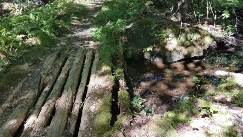 Sklar Park - Orono, ME