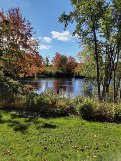 Webster Park - Orono, ME