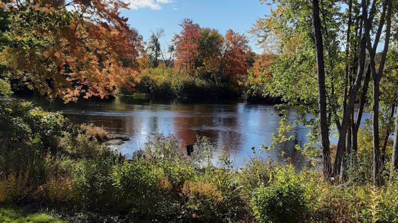 Webster Park - Orono, ME