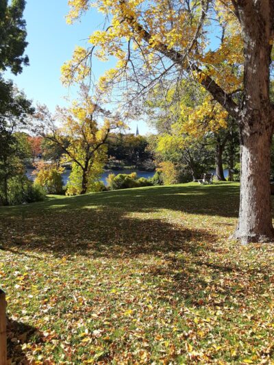 Webster Park - Orono, ME