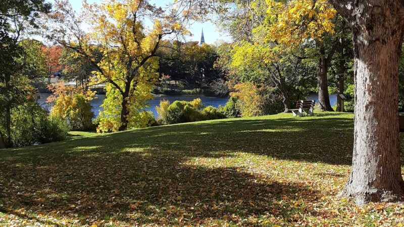 Webster Park - Orono, ME