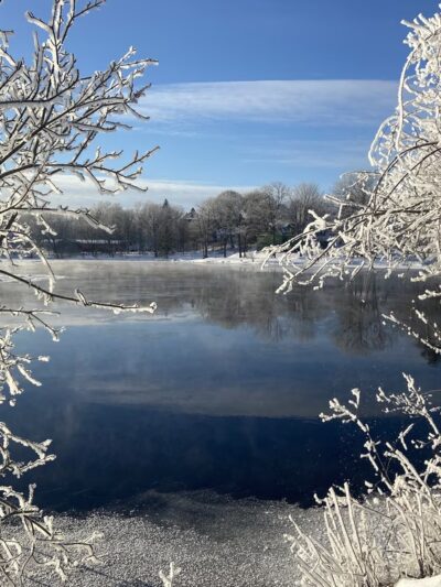 Webster Park - Orono, ME