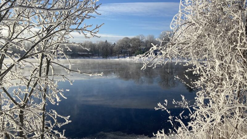 Webster Park - Orono, ME