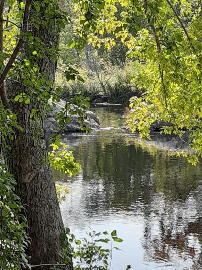 Webster Park - Orono, ME