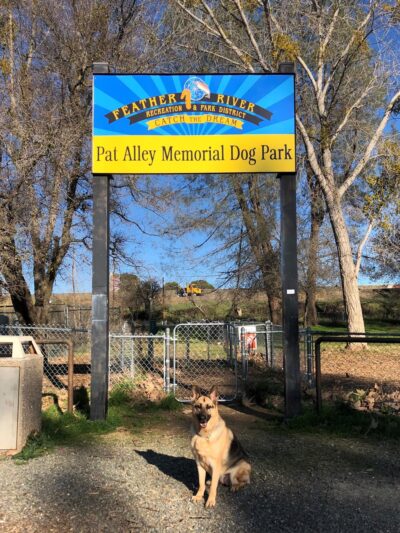 Pat Alley Memorial Dog Park - Oroville, CA
