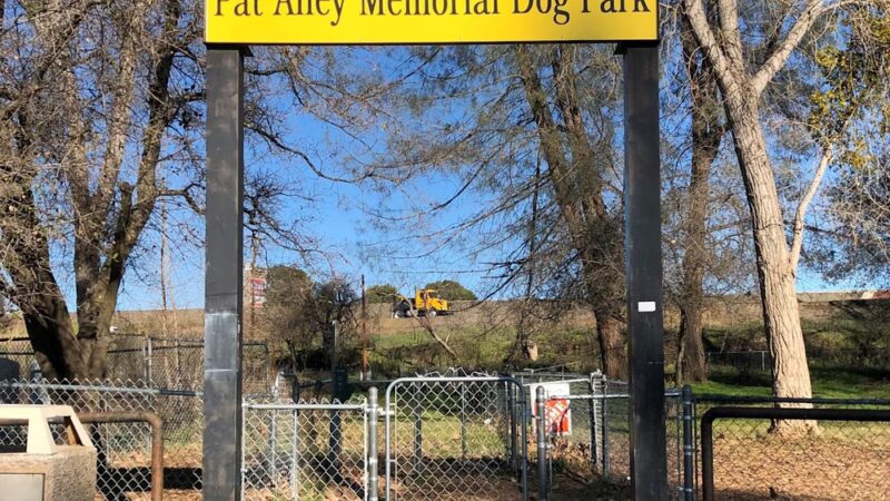 Pat Alley Memorial Dog Park - Oroville, CA