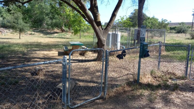 Pat Alley Memorial Dog Park - Oroville, CA