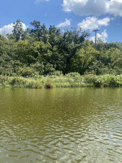 Osage Beach City Peaceful Park - Osage Beach, MO