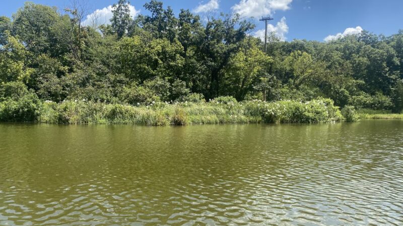 Osage Beach City Peaceful Park - Osage Beach, MO