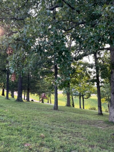 Peanick Park - Osage Beach, MO