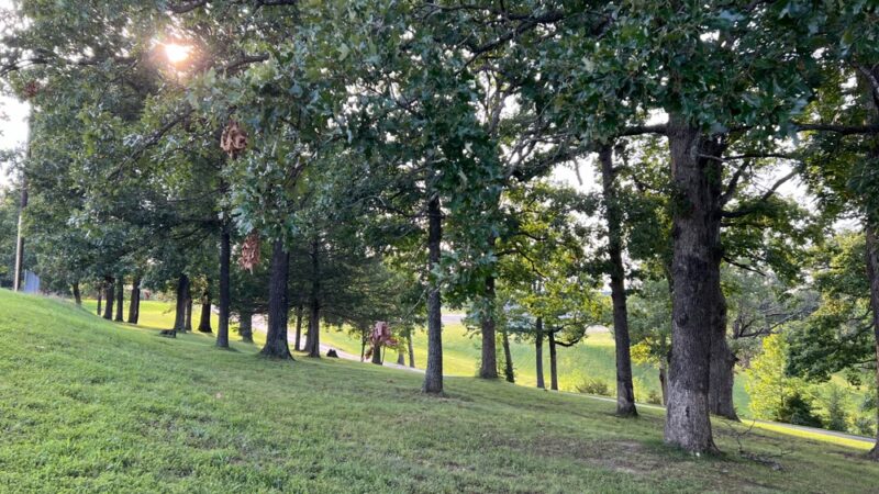 Peanick Park - Osage Beach, MO