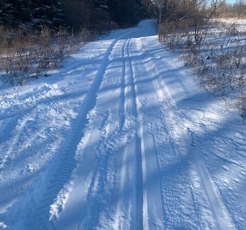Winnebago County Community Park - Oshkosh, WI