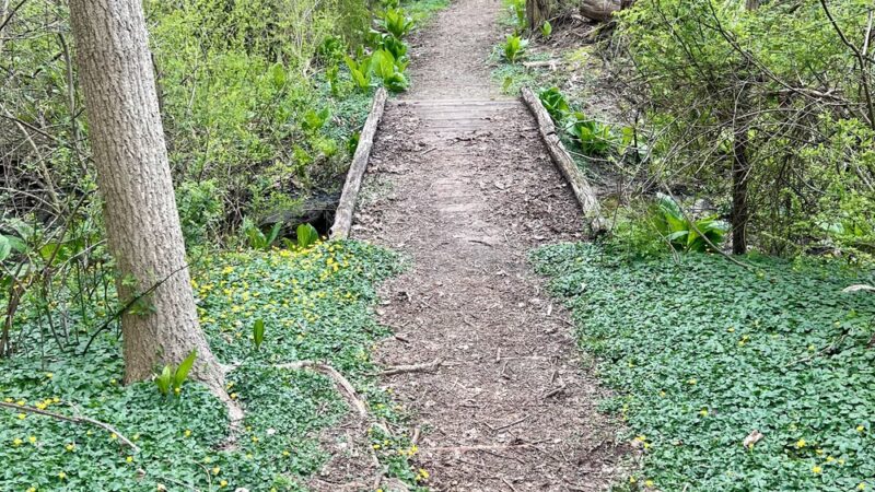 Crawbuckie Park and Nature Preserve - Ossining, NY