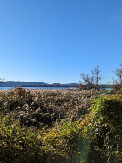 Crawbuckie Park and Nature Preserve - Ossining, NY