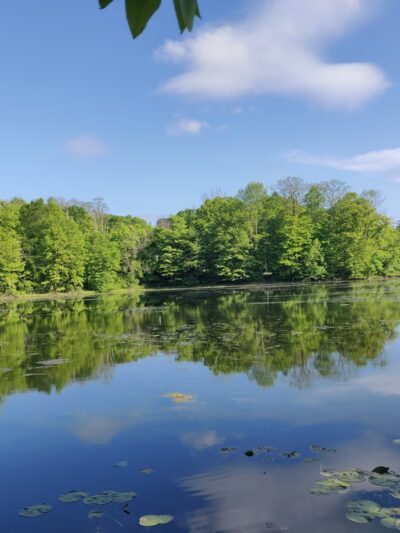 Ruperon Kennel - Ossining, NY