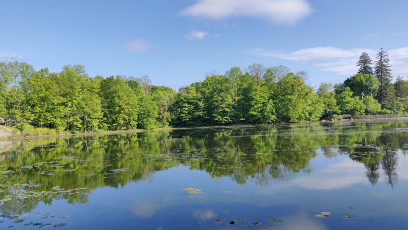 Ruperon Kennel - Ossining, NY