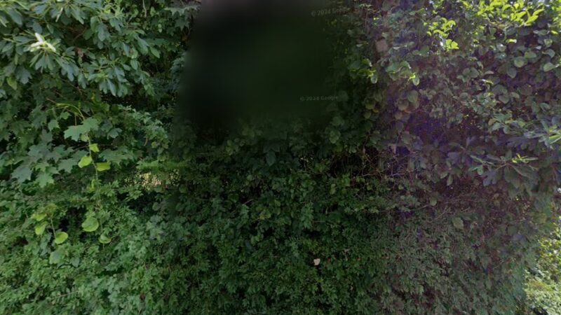 Ruperon Kennel - Ossining, NY