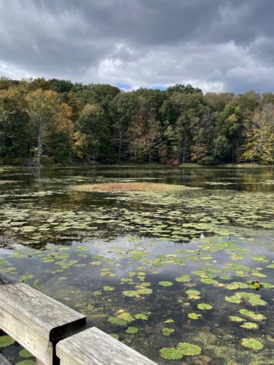 Teatown Lake Reservation - Ossining, NY