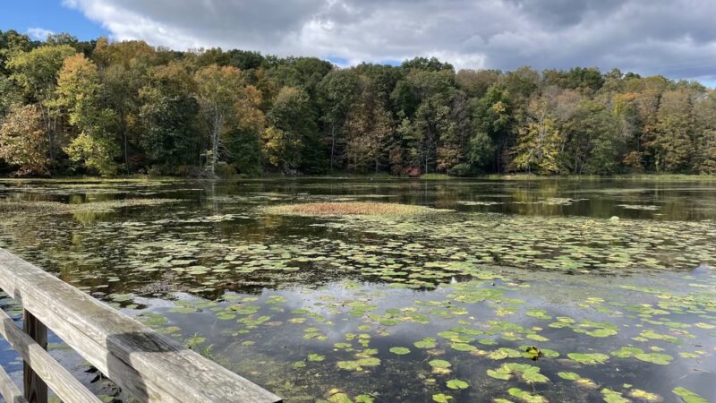 Teatown Lake Reservation - Ossining, NY