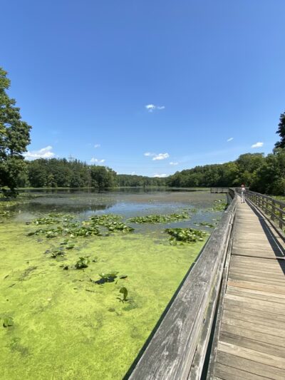 Teatown Lake Reservation - Ossining, NY