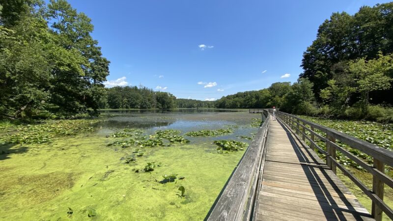 Teatown Lake Reservation - Ossining, NY
