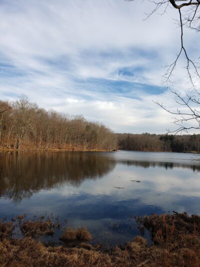 Teatown Lake Reservation - Ossining, NY
