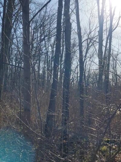 Warburg Park - Ossining, NY