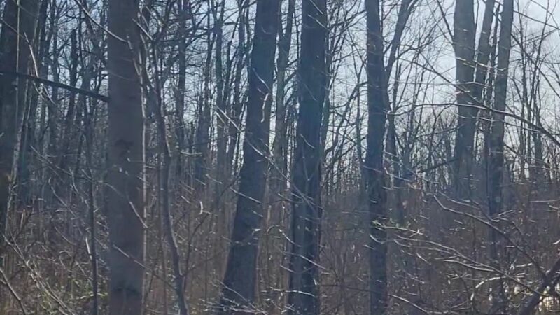 Warburg Park - Ossining, NY