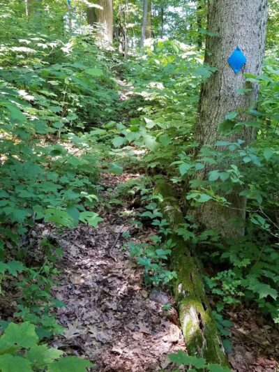 Warburg Park - Ossining, NY