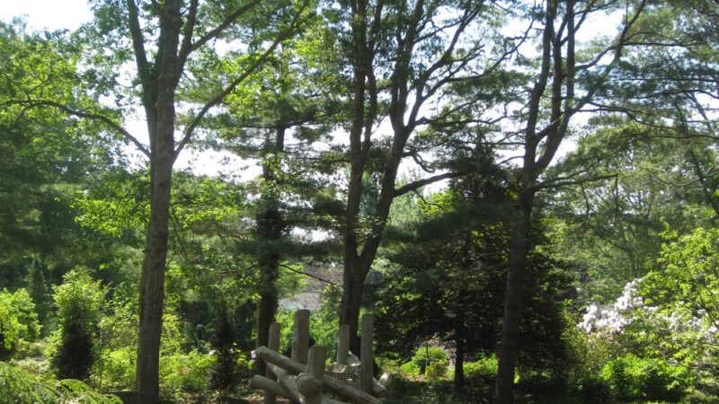 Armstrong-Kelley Park - Osterville, MA