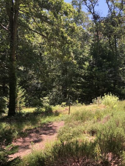 Armstrong-Kelley Park - Osterville, MA