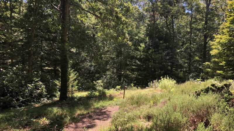 Armstrong-Kelley Park - Osterville, MA