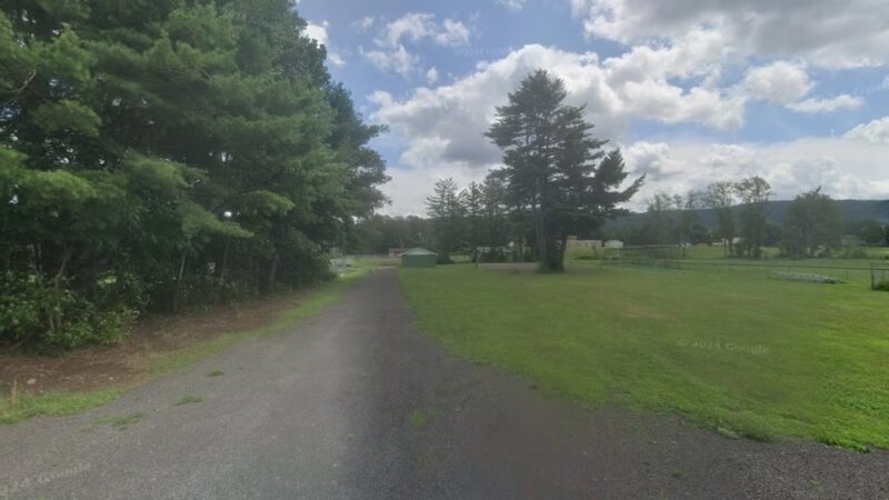 Otego baseball fields - Otego, NY