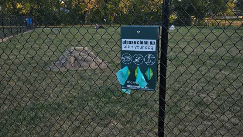 Dog park - Ottawa, IL