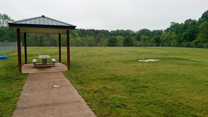 Cove Dog Park - Owens Cross Roads, AL