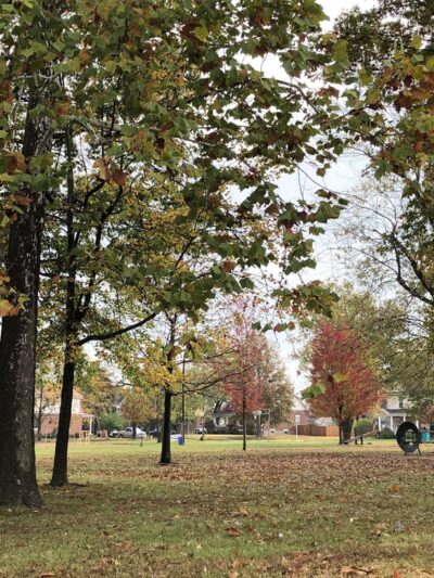 Buschmann Park - Owensville, MO