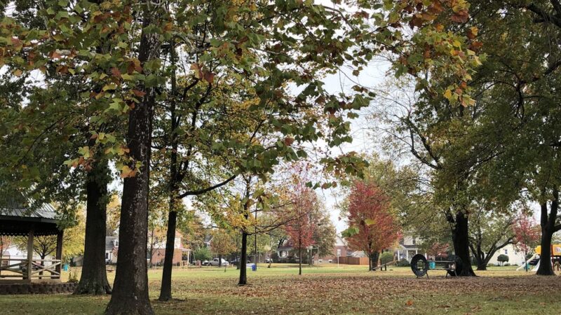 Buschmann Park - Owensville, MO