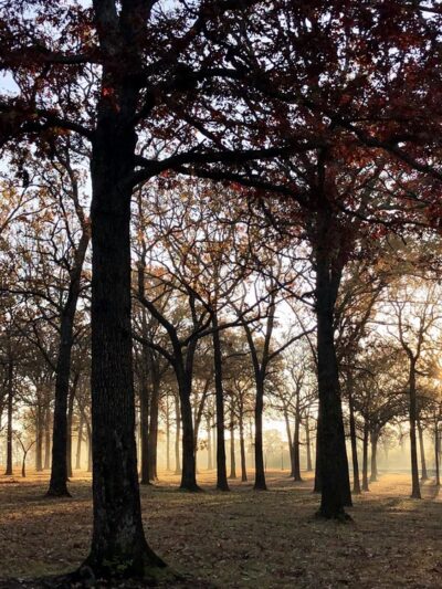 Memorial Park - Owensville, MO