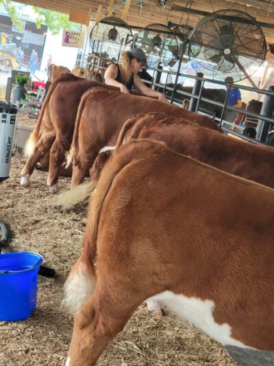 Memorial Park - Owensville, MO