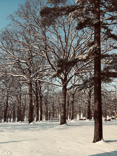 Memorial Park - Owensville, MO