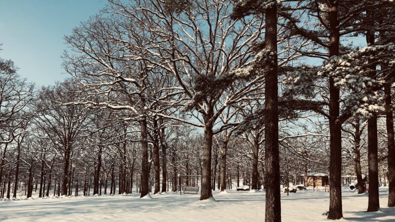 Memorial Park - Owensville, MO