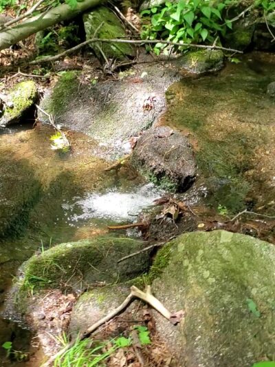Naugatuck State Forest - Oxford, CT