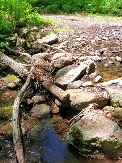 Naugatuck State Forest - Oxford, CT