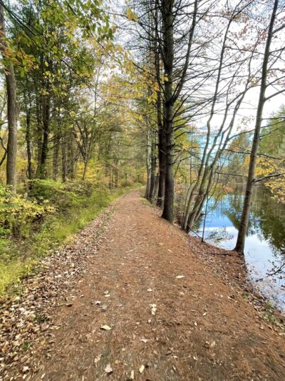 Naugatuck State Forest - Oxford, CT