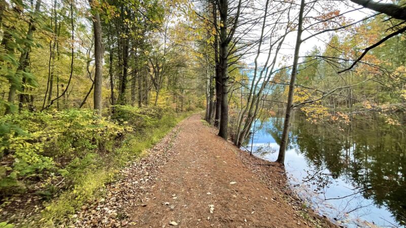 Naugatuck State Forest - Oxford, CT
