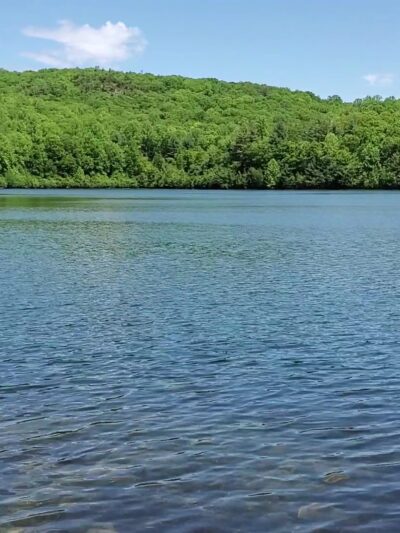 Naugatuck State Forest - Oxford, CT