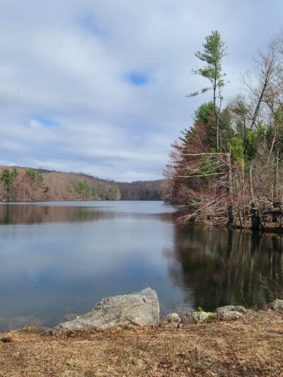 Naugatuck State Forest - Oxford, CT